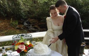 Looking to Elope? These Tips can Help You