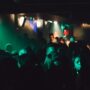 The Nightlife of Room Alba